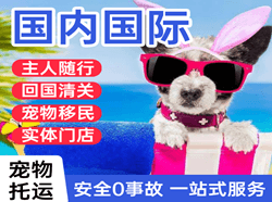 北京大兴航空物流国际宠物托运 【国